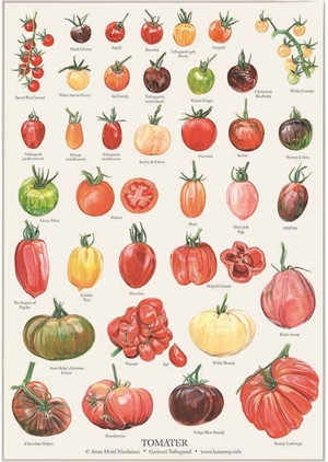 Tomat Plakat